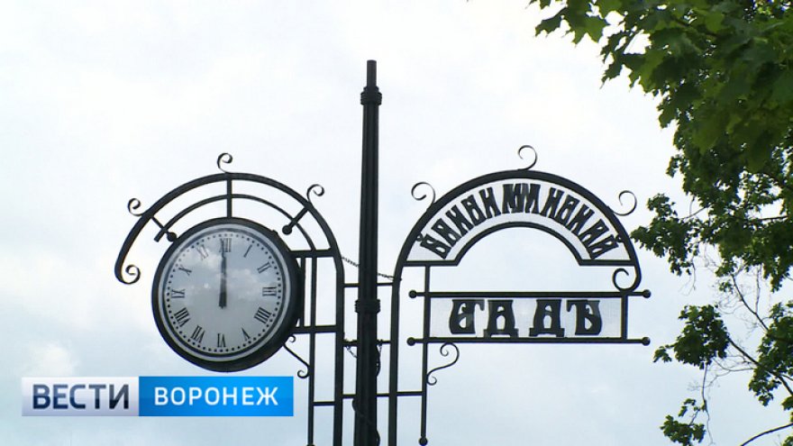 Разработку концепции благоустройства «Бринкманского сада» в Воронеже выставили на конкурс