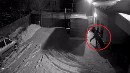 Житель Воронежской области ответит в суде за жестокое убийство сторожа в Рождество