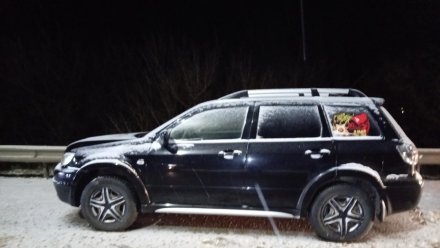 Два человека пострадали в лобовом столкновении Audi и Nissan под Воронежем