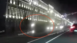 Момент ДТП с Mercedes и автобусом в центре Воронежа попал на видео