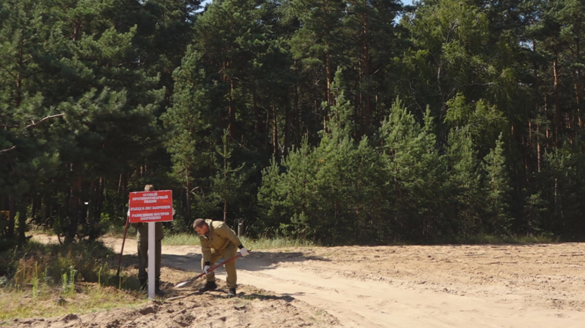 В Воронежской области ввели запрет на посещение лесов | 11.08.2023 | Воронеж  - БезФормата