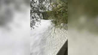 Покрывшая водохранилище Воронежа подозрительная пена исчезла