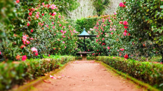 Мобильный интернет ограничат на время проведения «Города-сада» в Воронеже