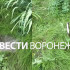 Появилось видео с места ЧП с выпавшей с 6 этажа девочкой в Воронеже