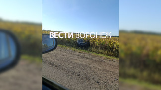 Массовая авария произошла на курской трассе в Воронежской области