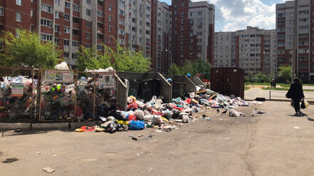 Двор между многоэтажками в Воронеже вновь превратился в свалку