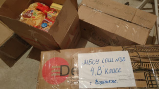 Ученики воронежской школы отправили гуманитарную помощь в зону СВО
