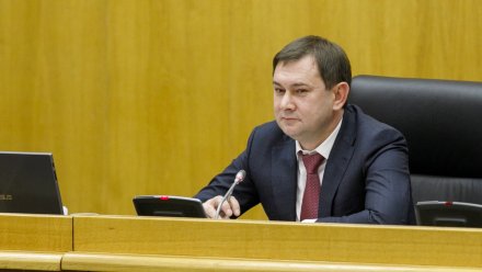 Доходы Бюджета Воронежской области увеличились на 1,6 млрд рублей