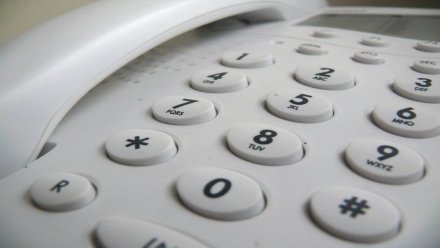 Незнакомец устроил секс по телефону с тремя воронежскими школьницами
