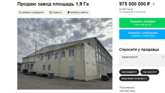 В Воронеже выставили на продажу завод за 975 млн рублей