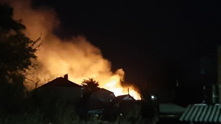 Жителей посёлка под Воронежем напугало зарево ландшафтного пожара