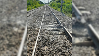 Диверсию назвали причиной ЧП на железной дороге в Воронежской области