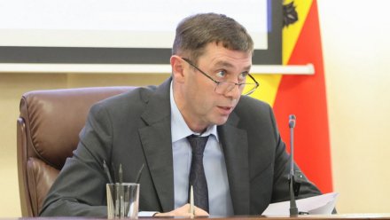 Сергею Петрину доложили о прохождении пожароопасного периода в Воронеже