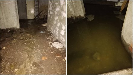 Жители Семилук пожаловались на затопленный фекалиями подвал в 5-этажке