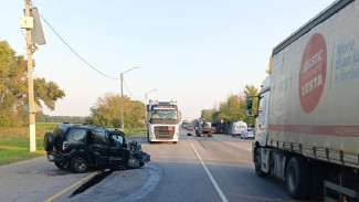 Водитель «Нивы» погиб в аварии с грузовиком на воронежской трассе