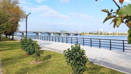 Мэр Воронежа признал инфраструктуру города пока не готовой к росту турпотока