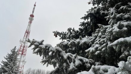 Выходные в Воронежской области будут морозными и облачными