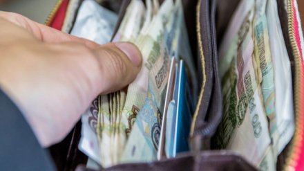 Статистики назвали сферы с самыми высокими и низкими зарплатами в Воронежской области
