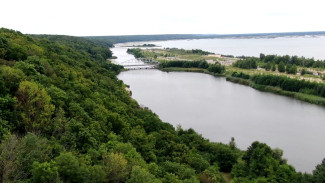 В новый генплан Воронежа внесут дорогу по Нагорной дубраве