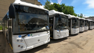 Летом на воронежских дорогах появятся автобусы с климат-контролем