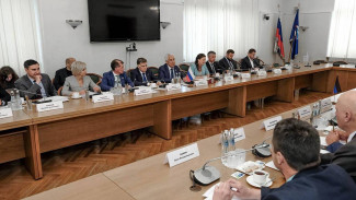 «Единая Россия» и Народный совет ДНР определили направления синхронизации законодательства