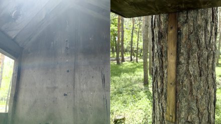 Воронежцы пожаловались на прикрученные к деревьям скворечники в «Танаисе»