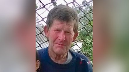 Воронежцев позвали на срочные поиски потерявшегося в лесу 72-летнего дедушки