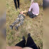 Полицейского уволят из органов после поджога трансформатора в Воронежской области