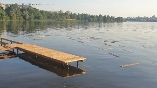 Недостроенный парк «Дельфин» в Воронеже начали ломать отдыхающие: появилось видео