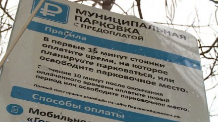 Воронежские платные парковки обжалуют в суде попытку антимонопольщиков отнять название