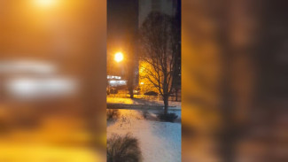 Воронежцы услышали звуки сирен вечером понедельника