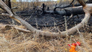 Охватившие пригород Воронежа пожары поставили под угрозу строящийся объект