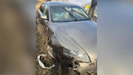 Под Воронежем водитель Audi вылетел в кювет и разбился насмерть