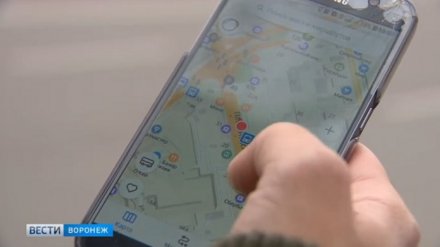В приложение для отслеживания воронежских маршруток добавят электрички