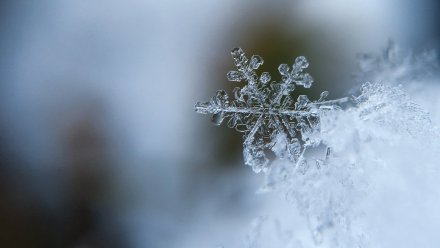 Синоптики спрогнозировали мокрый снег в выходные в Воронежской области