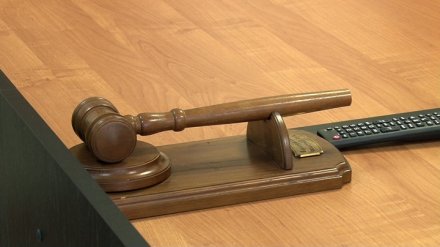 Под Воронежем главу поселения осудили за присвоение служебной машины