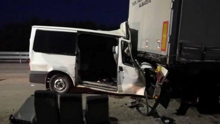 Микроавтобус врезался в фуру на воронежской трассе: есть погибшие и раненые  