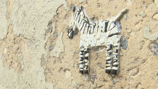 На стенах воронежских домов появились мозаичные животные