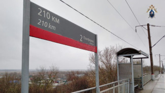 Бывший машинист ответит в суде за травму женщины в воронежской электричке