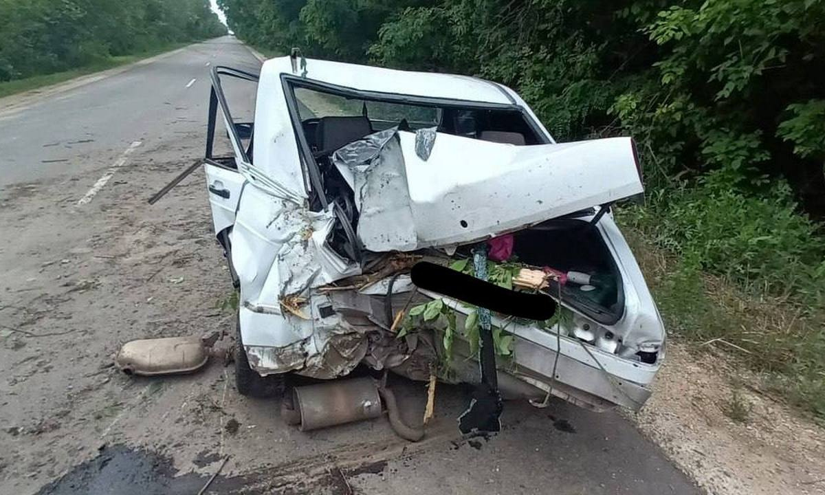 Девушка за рулём Mercedes-Benz врезалась в дерево на воронежской трассе:  есть пострадавший – Новости Воронежа и Воронежской области – Вести Воронеж