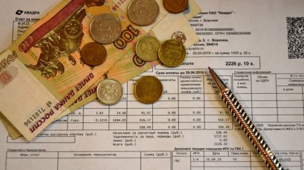 Несколько сотен воронежцев остались без отдыха за границей из-за долгов за тепло