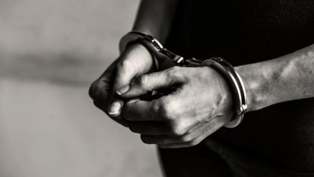 40-летнего воронежца уличили в финансировании терроризма