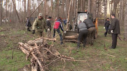 Воронежцев пригласили на субботник 8 апреля