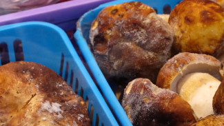 Воронежцев пригласили за природным «заменителем мяса»
