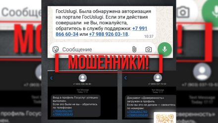 Воронежцев предупредили о фальшивых сообщениях от «Госуслуг»