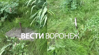 Появилось видео с места ЧП с выпавшей с 6 этажа девочкой в Воронеже