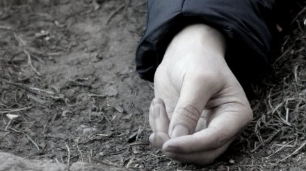 В Воронеже в соседних дворах нашли тела женщины и мужчины
