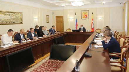 Мэр Воронежа: парк «Дельфин» продолжат развивать по концессии