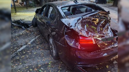 В Воронеже водитель BMW сбежал после ДТП с деревом