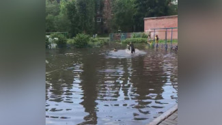 В Воронеже дети искупались в образовавшейся после дождя огромной луже